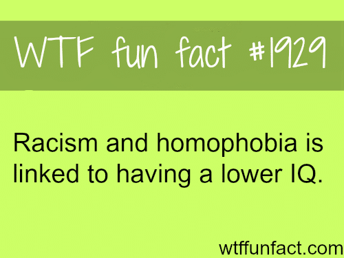 Racism and homophobia are linkedto lower IQ - WTF fun facts
