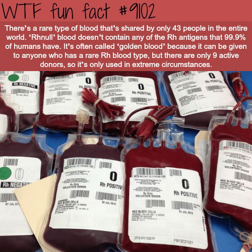 Rarest blood type - WTF fun fact