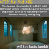 real cloud in a room by dutch artists