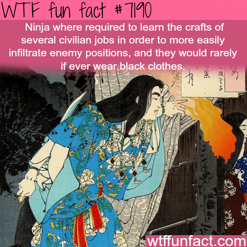 Real ninjas - WTF Fun Fact