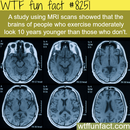 Reasons why you should exercise - WTF fun facts