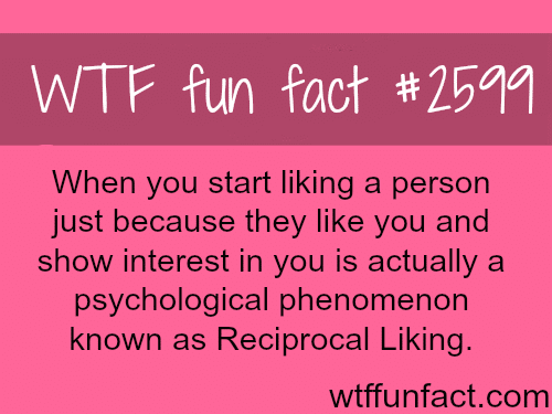 Reciprocal Liking the psychological phenomenon - WTF fun facts