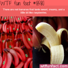 red bananas wtf fun facts