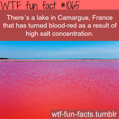 red lake in France 