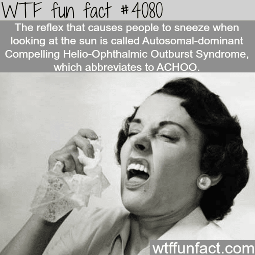 Reflex that causes people to sneeze when looking at the sun - WTF fun facts