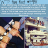 rich kids of instagram wtf fun facts