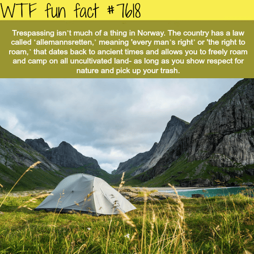 Right to roam - WTF fun facts