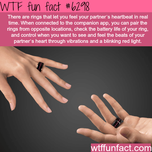 Rings that let you feel your partners heartbeat - WTF fun facts
