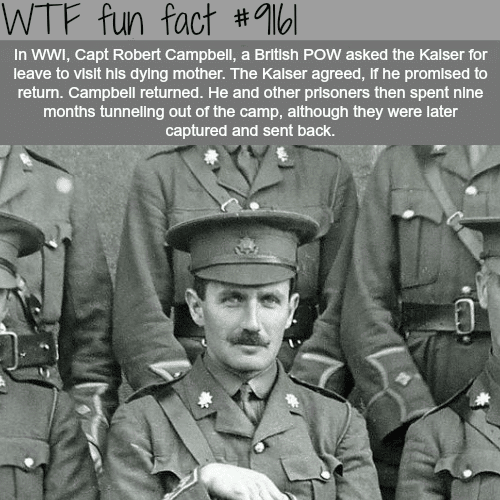 Robert Campbell - WTF Fun Facts