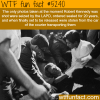 robert kennedys photographs wtf fun facts