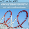 roller coaster facts wtf fun facts