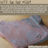roof tile from roman era has cat paws on it wtf