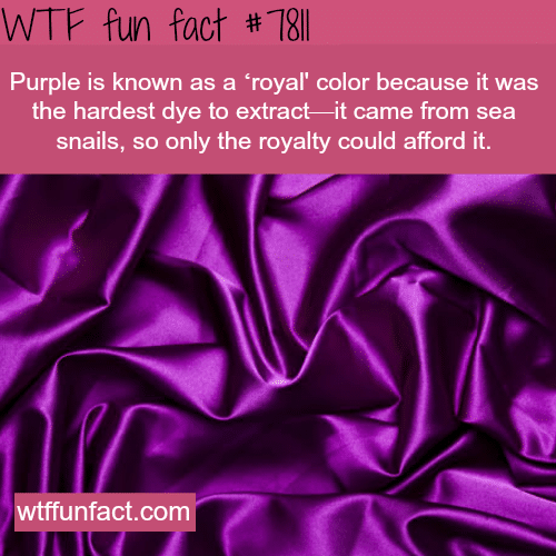 “Royale” Purple - WTF fun facts