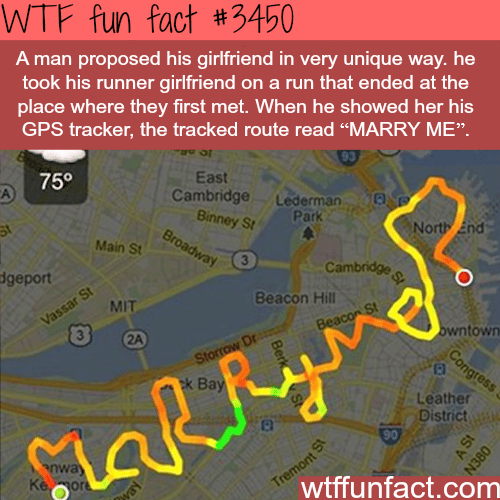 Runner propose to his girlfriend via GPS app -  WTF fun facts