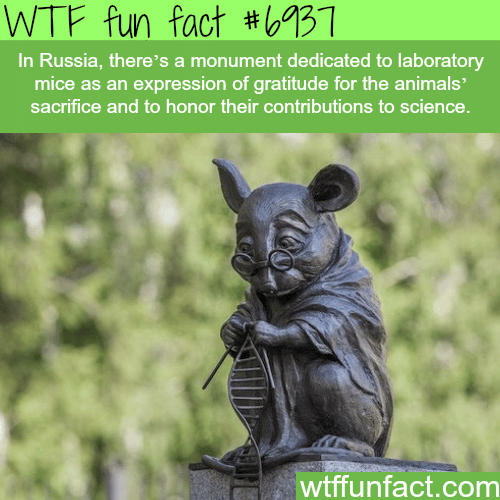 Russian monument dedicated to lab mice - WTF fun fact