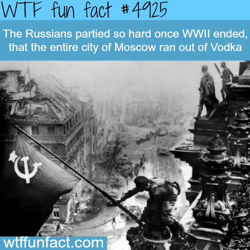 Russians partying hard - WTF fun facts  