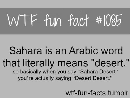 Sahara desert 