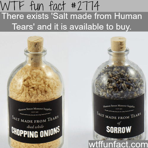 Salt Made From Human Tears - WTF fun facts
