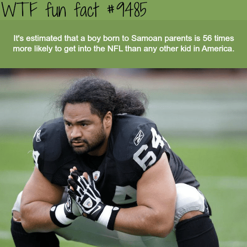 Samoans in the NFL - WTF fun fact