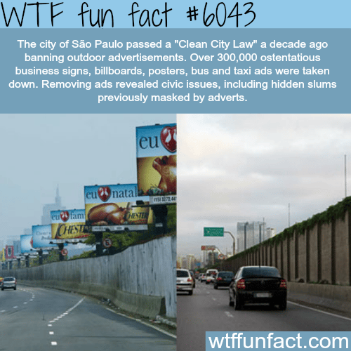 Sao Paolo’s Clean City Law- WTF fun facts