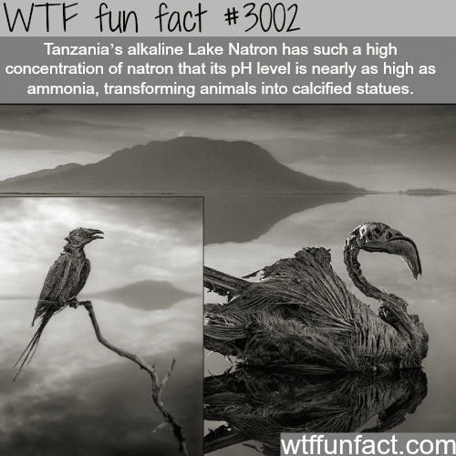 Scariest lake in the world -  WTF fun facts