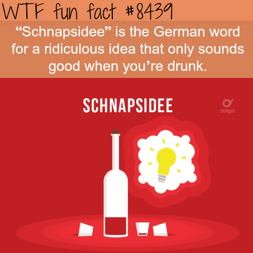 Schnapsidee - WTF fun facts