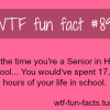 school facts