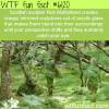 sculptures by rob mulholland wtf fun facts