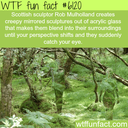 Sculptures by Rob Mulholland - WTF fun facts