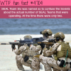 seal team six wtf fun facts