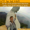 selfies are more dangerous than sharks wtf fun