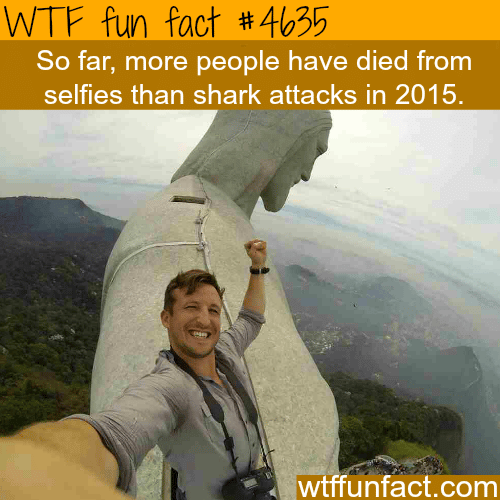 Selfies are more dangerous than sharks - WTF fun facts