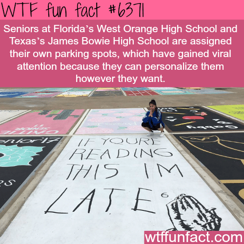 Seniors in these high schools get to design their own parking spot - WTF fun facts