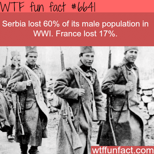 Serbia lost 60% of its male population in WW1 - WTF fun facts