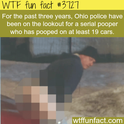 Serial pooper in the Ohio area -  WTF fun facts