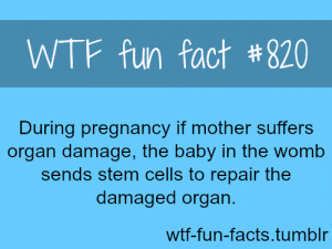 Wtf Fun Facts Page 1239 Of 1294 Funny Interesting And Weird Facts