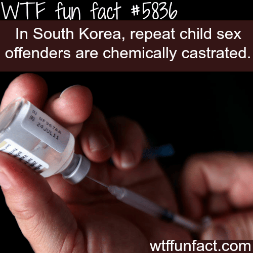 Sex offenders in South Korea get castrated - WTF fun facts