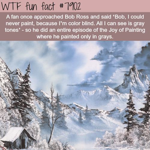 Shades of Grey by Bob Ross - WTF fun facts