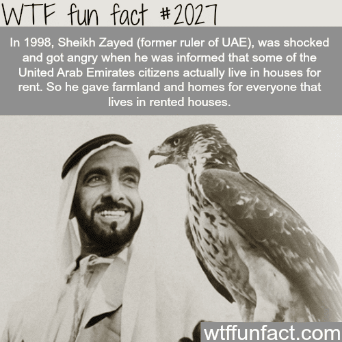 Sheikh Zayed