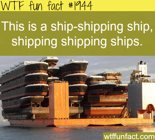 Ship-shipping ship