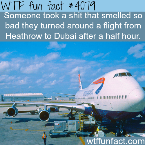 Shit smell causes an airplane to return - WTF fun facts