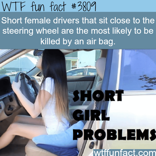 Short female drivers are more likely to be killed by air bags - WTF fun facts 