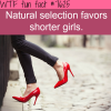 shorter girls wtf fun facts