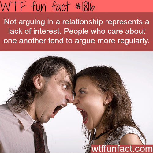 Signs of a healthy relationship - WTF fun facts