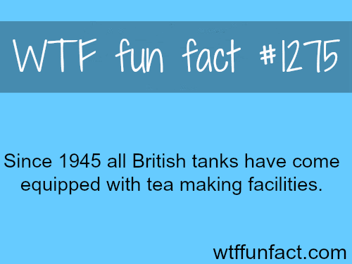History and tech facts