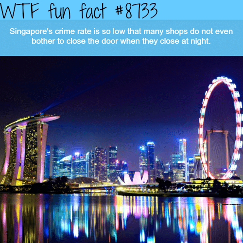 Singapore’s crime rate - WTF fun facts
