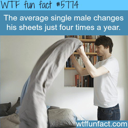 Single men rarely change their bed sheets - WTF fun facts