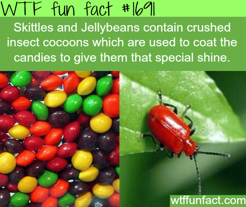 Skittles contain crushed insect cocoons - WTF fun facts