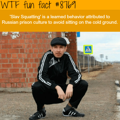 Slav Squatting - WTF fun facts