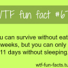 sleeping facts